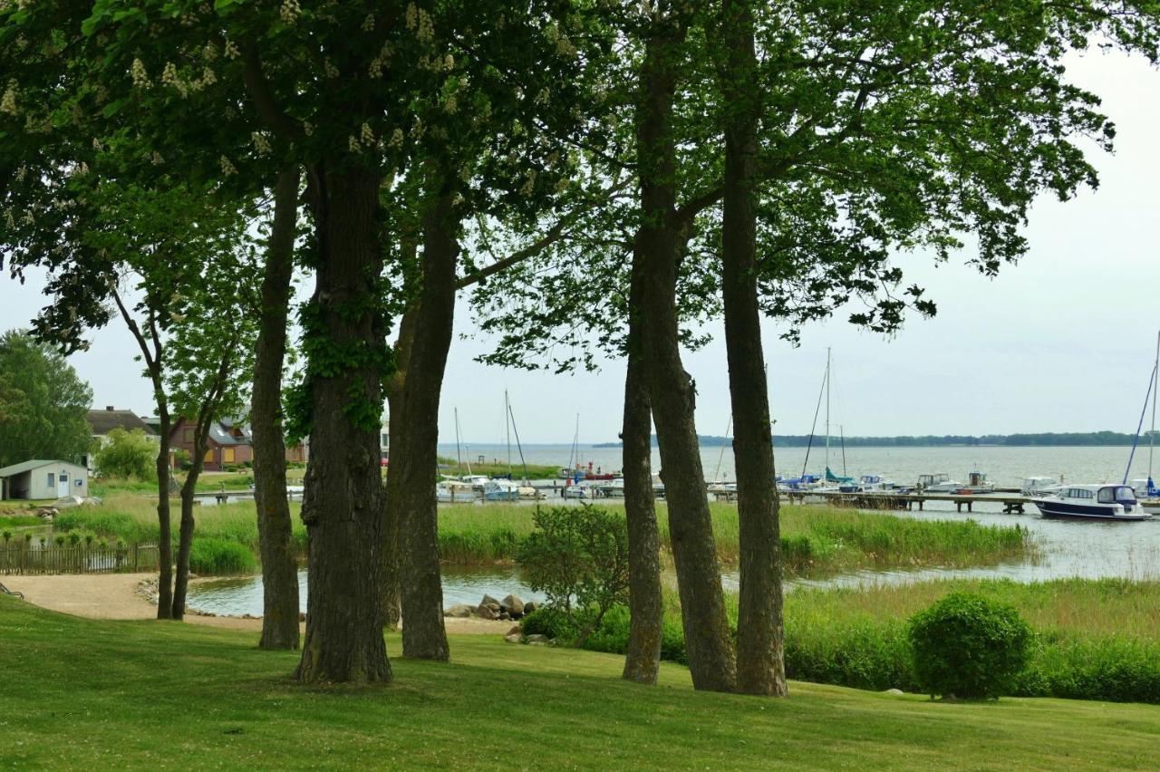 ZiemitzHaus Carmen Auf Usedom Nr.6公寓 外观 照片