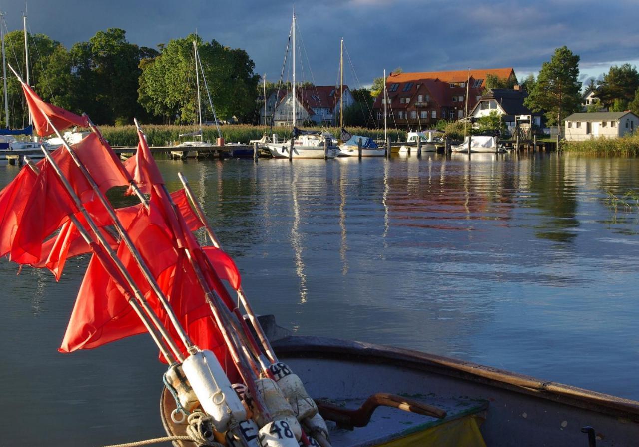 ZiemitzHaus Carmen Auf Usedom Nr.6公寓 外观 照片
